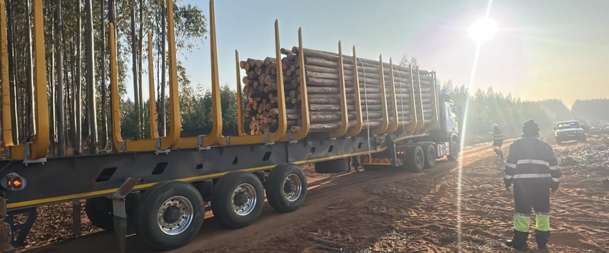 HWJ Timbers Wooden Poles