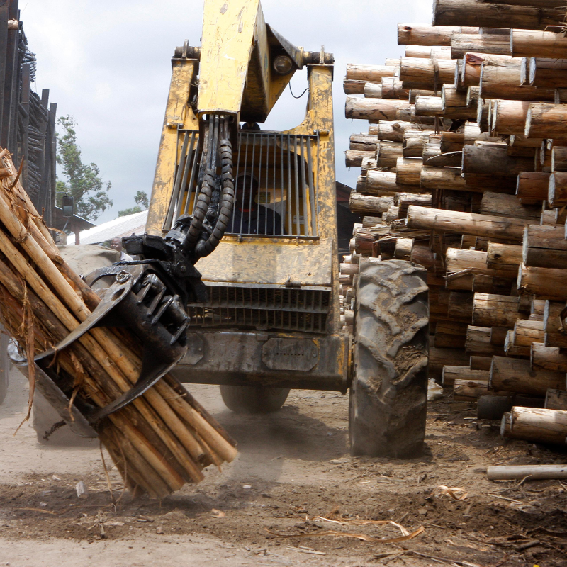 HWJ Timbers Project