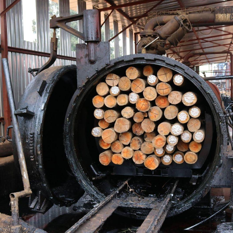 HWJ Timbers Project