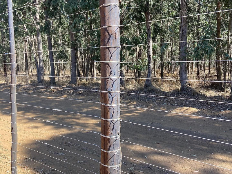 Building & Fencing Poles